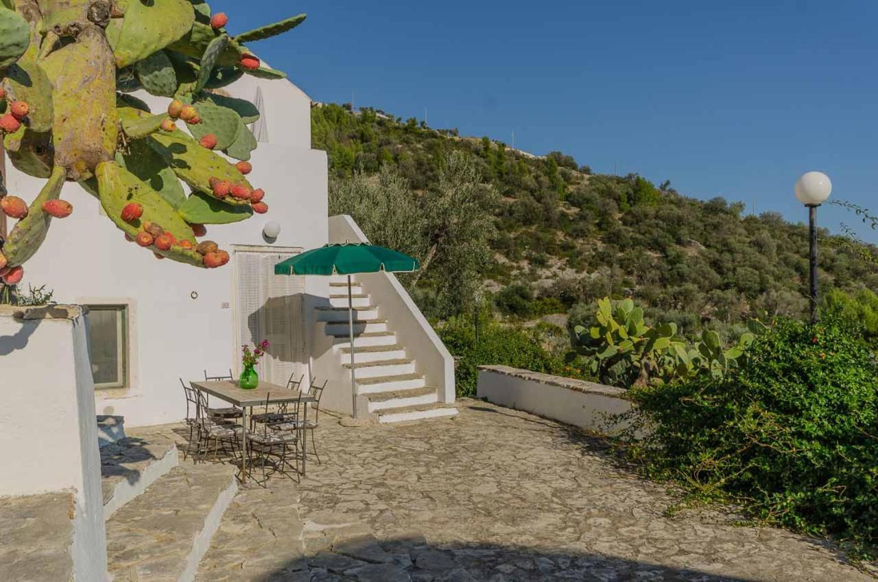 Agriturismo Madonna Incoronata Mattinata Kültér fotó